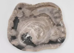 Geschirr & Tischaccessoires|KARE Design Platte Kristalmeer Versteinertes Holz