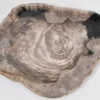 Geschirr & Tischaccessoires|KARE Design Platte Magisch Versteinertes Holz