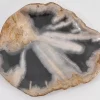 Geschirr & Tischaccessoires|KARE Design Platte Toverland Versteinertes Holz