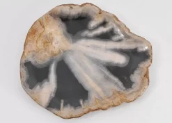 Geschirr & Tischaccessoires|KARE Design Platte Toverland Versteinertes Holz