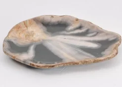 Geschirr & Tischaccessoires|KARE Design Platte Toverland Versteinertes Holz