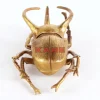 Bilder|KARE Design Wandschmuck Atlas Beetle Gold