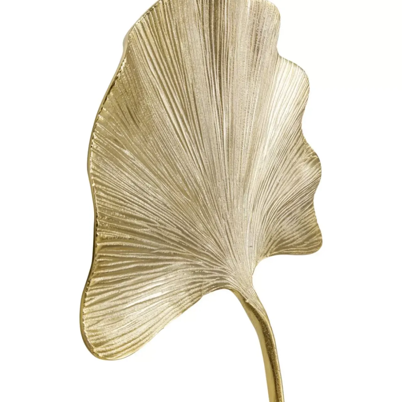 Bilder|KARE Design Wandschmuck Ginkgo Leaf 44Cm