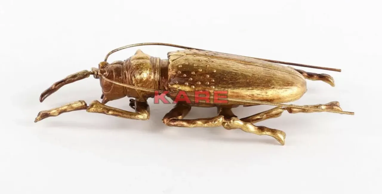 Bilder|KARE Design Wandschmuck Longicorn Beetle Gold