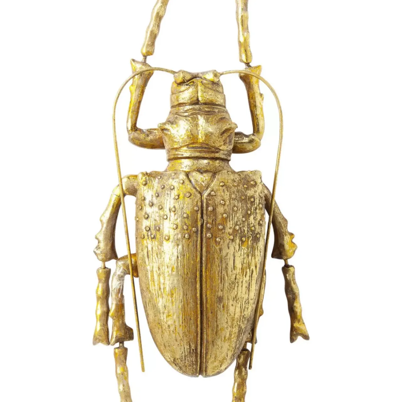 Bilder|KARE Design Wandschmuck Longicorn Beetle Gold