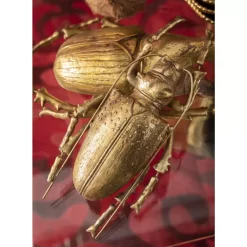 Bilder|KARE Design Wandschmuck Longicorn Beetle Gold