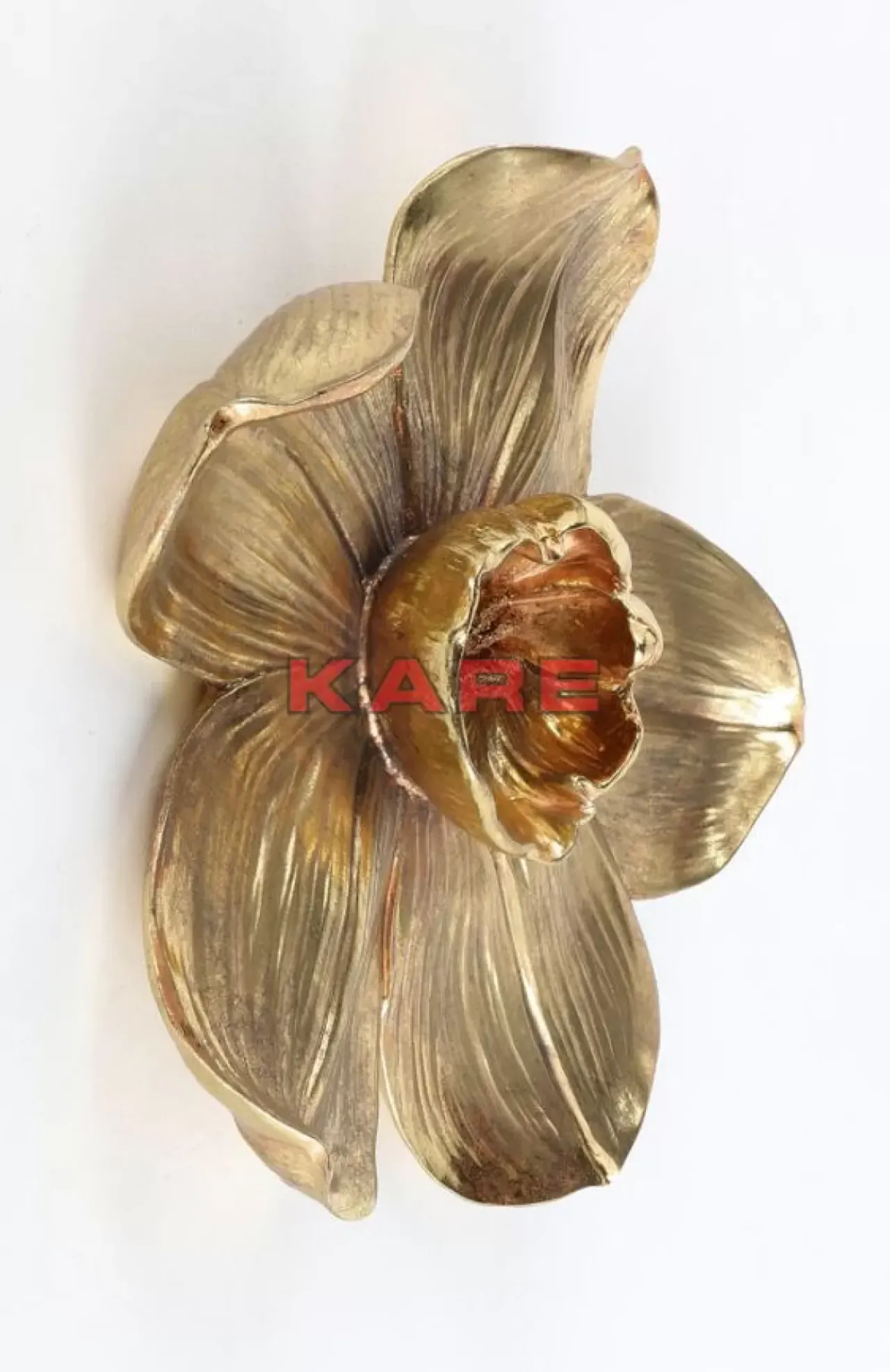 Bilder|KARE Design Wandschmuck Orchid Gold 44Cm