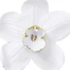 Bilder|KARE Design Wandschmuck Orchid Weis 54Cm