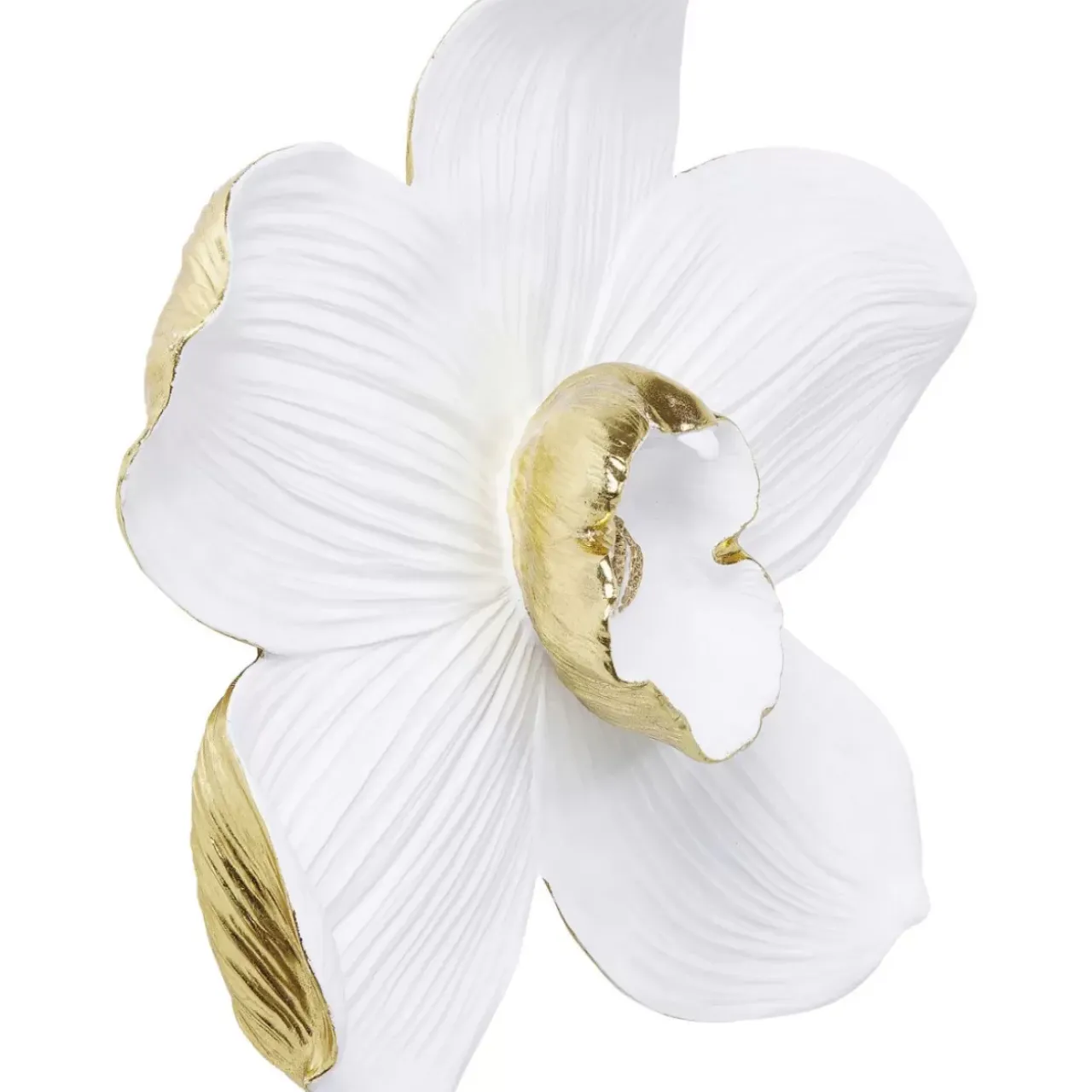 Bilder|KARE Design Wandschmuck Orchid Weis 54Cm