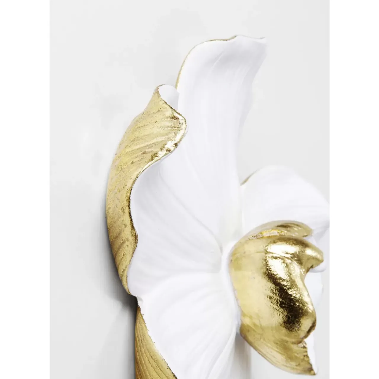 Bilder|KARE Design Wandschmuck Orchid Weis 25Cm