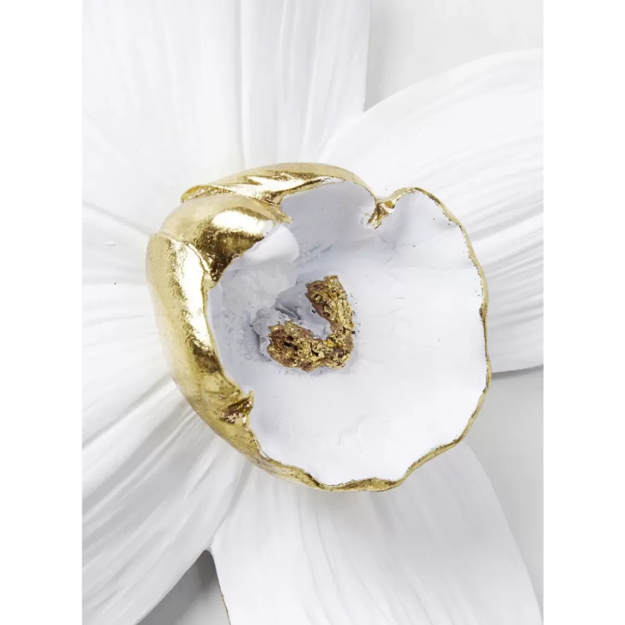 Bilder|KARE Design Wandschmuck Orchid Weis 25Cm