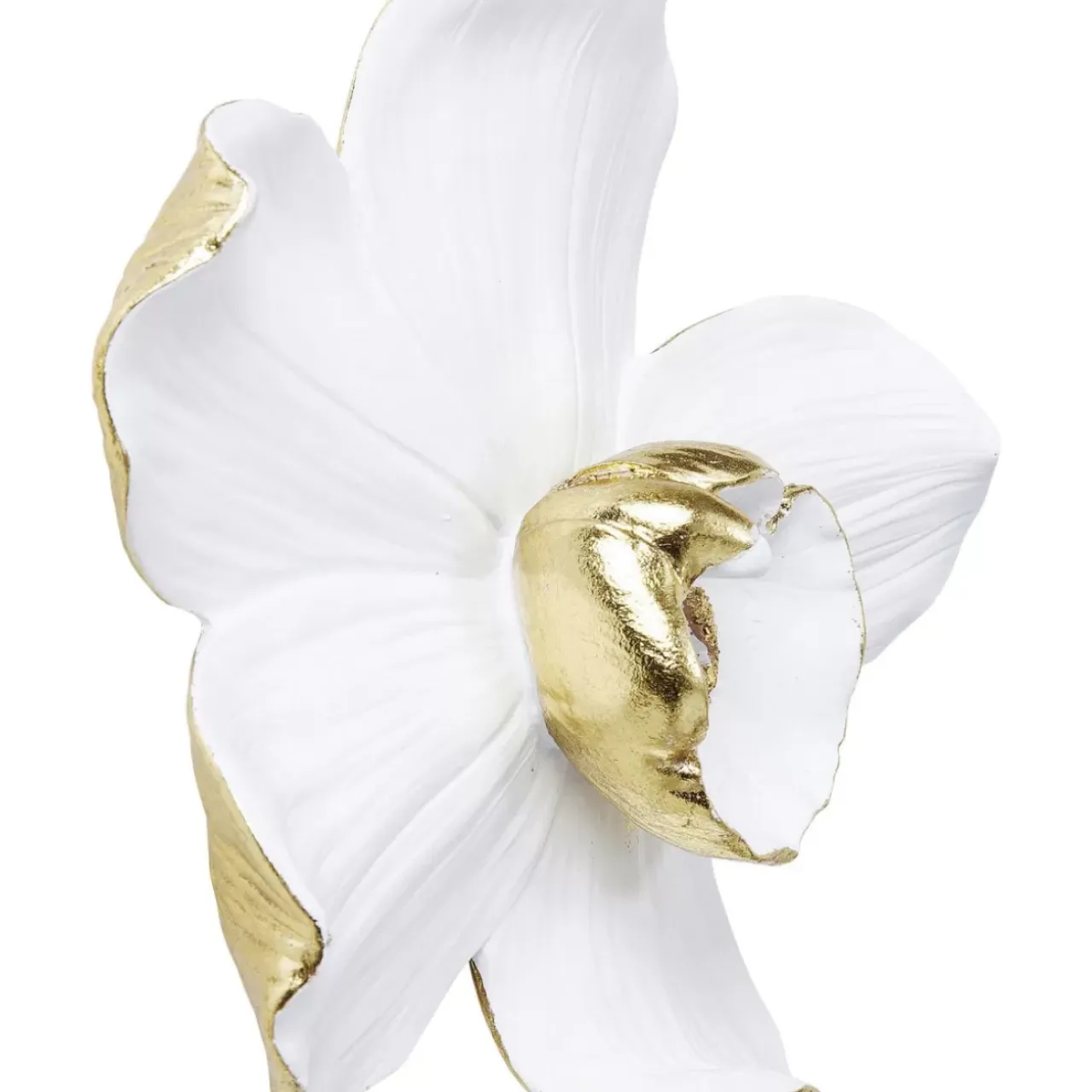 Bilder|KARE Design Wandschmuck Orchid Weis 25Cm