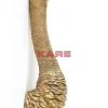 Bilder|KARE Design Wandschmuck Ostrich Gold